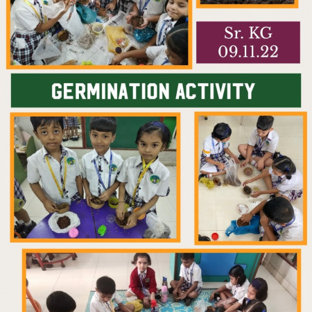 Germination Activity (Sr.kg)