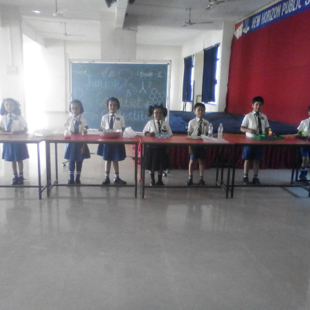 Jr. Scientist Competition(Primary Section)