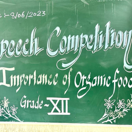 Speech Competition - Importance Of Organic Food  (Grade XII)