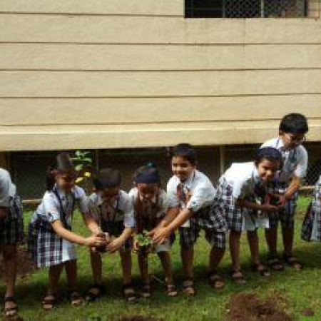 Tree Plantation(Sr.Kg)